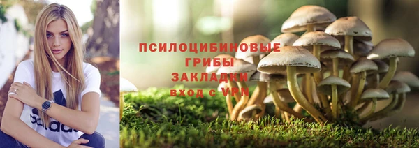 альфа пвп Заволжск